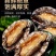 新鲜鲍鱼鲜活超大海鲜水产生鲜通货食材活特大加热即食干小鲍