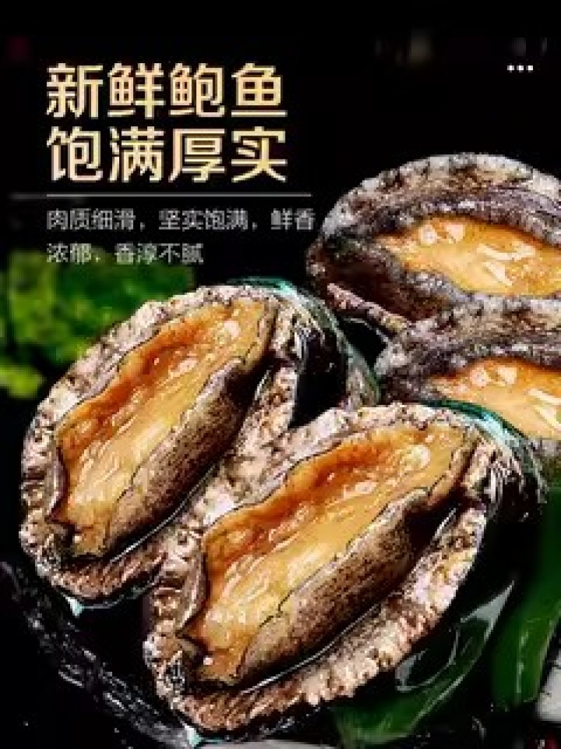 新鲜鲍鱼鲜活超大海鲜水产生鲜通货食材活特大加热即食干小鲍