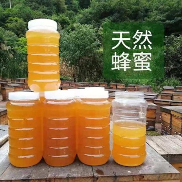 云南黑蜂蜜黑蜜米团花蜜蜂蜜
