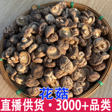 云南花菇干货批发香菇干货肉厚冬菇花菇厂家批发代发抖音直播