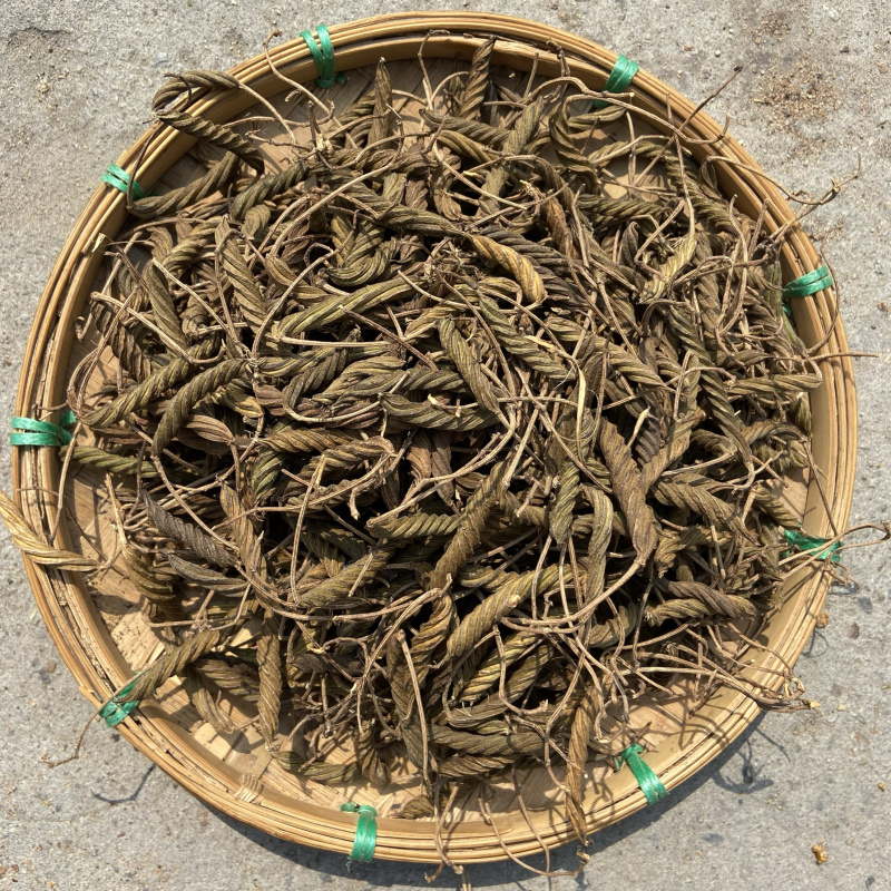 虫草正宗虫草