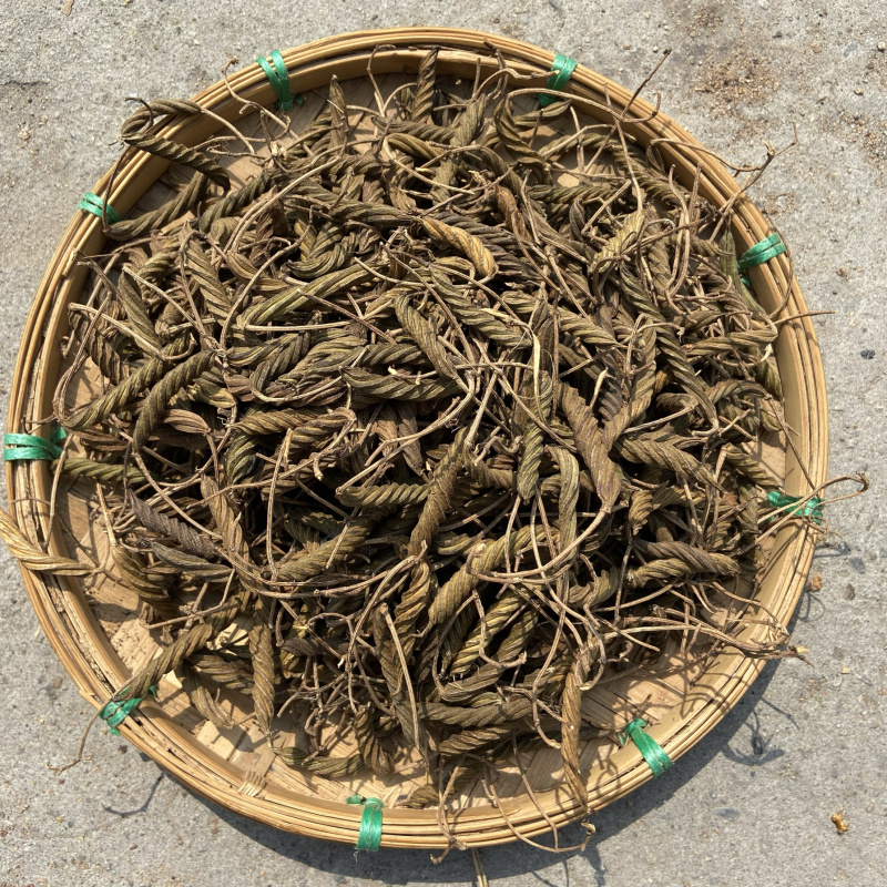 虫草正宗虫草