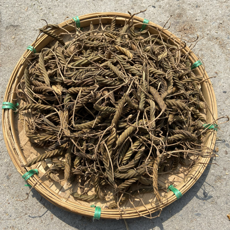 虫草正宗虫草