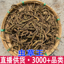 虫草王正宗虫草王缅甸虫草王中草药材批发量大从优