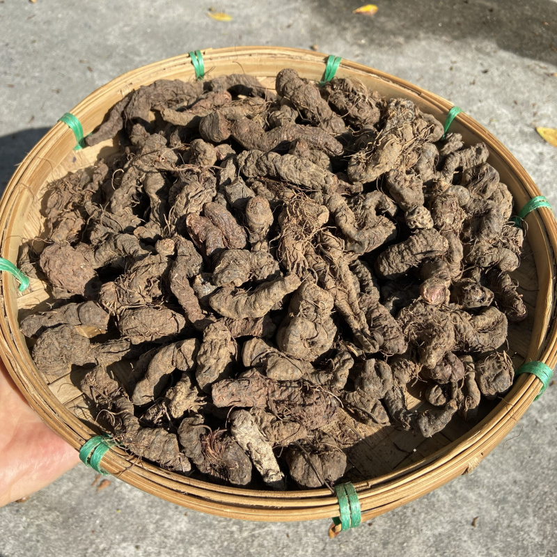 紫参正宗紫参