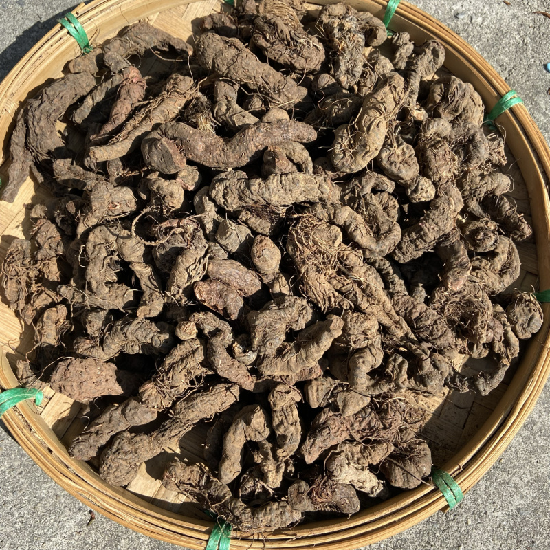 紫参正宗紫参
