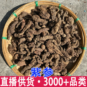 紫参正宗紫参