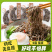 非油炸荞麦面0脂肪方便面整箱早餐免煮拌面一件代发批