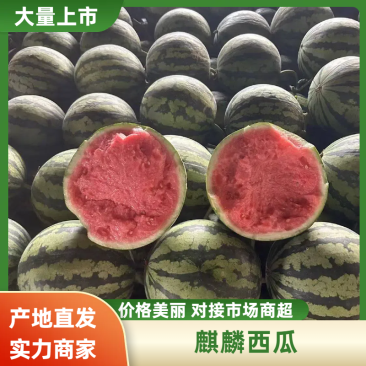 【美都西瓜】云南勐腊无籽美都西瓜产地直发提供一条龙