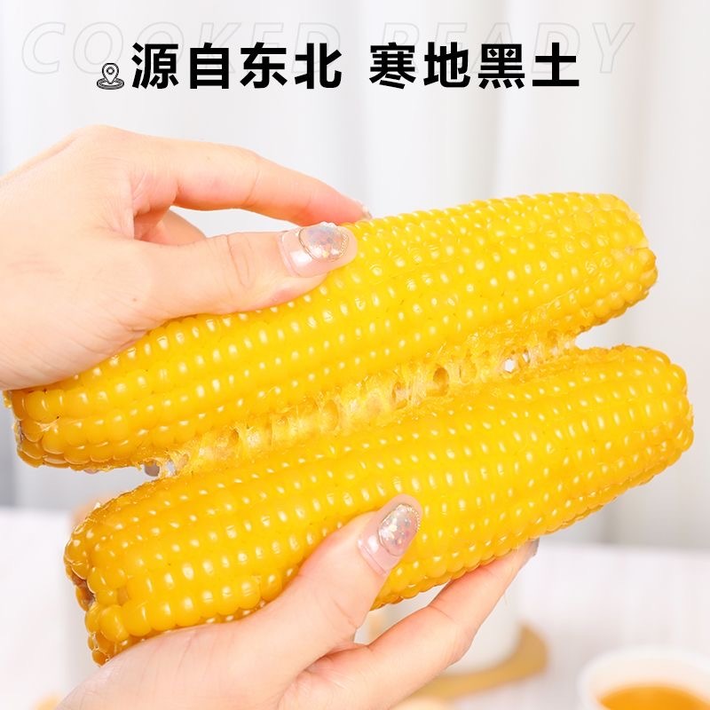 东北黄、白糯玉米厂家直发保质保量发货全国