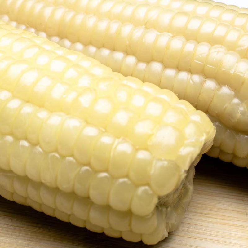 东北白糯玉米厂家直发批发零售保质保量发货全国