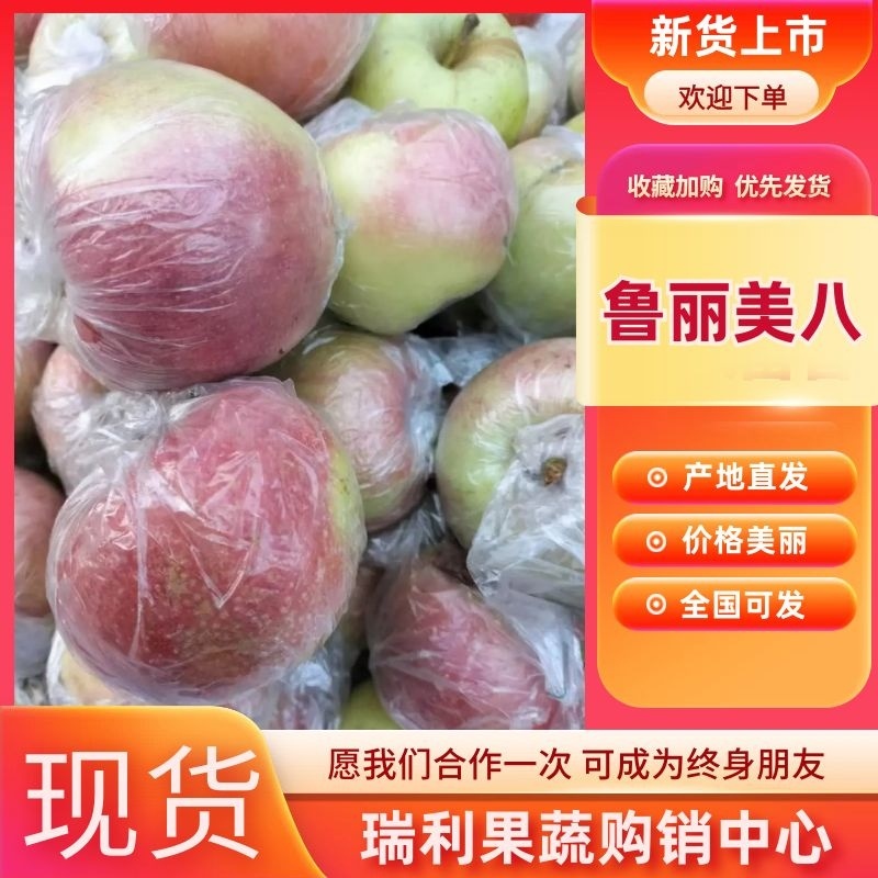 山东膜袋纸袋红富苹果大量供应中现摘现发一手货源