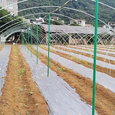 无支柱大棚骨架玻璃纤维杆循环使用支持定制
