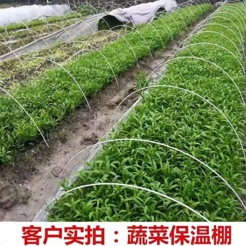 无支柱大棚骨架玻璃纤维杆循环使用支持定制