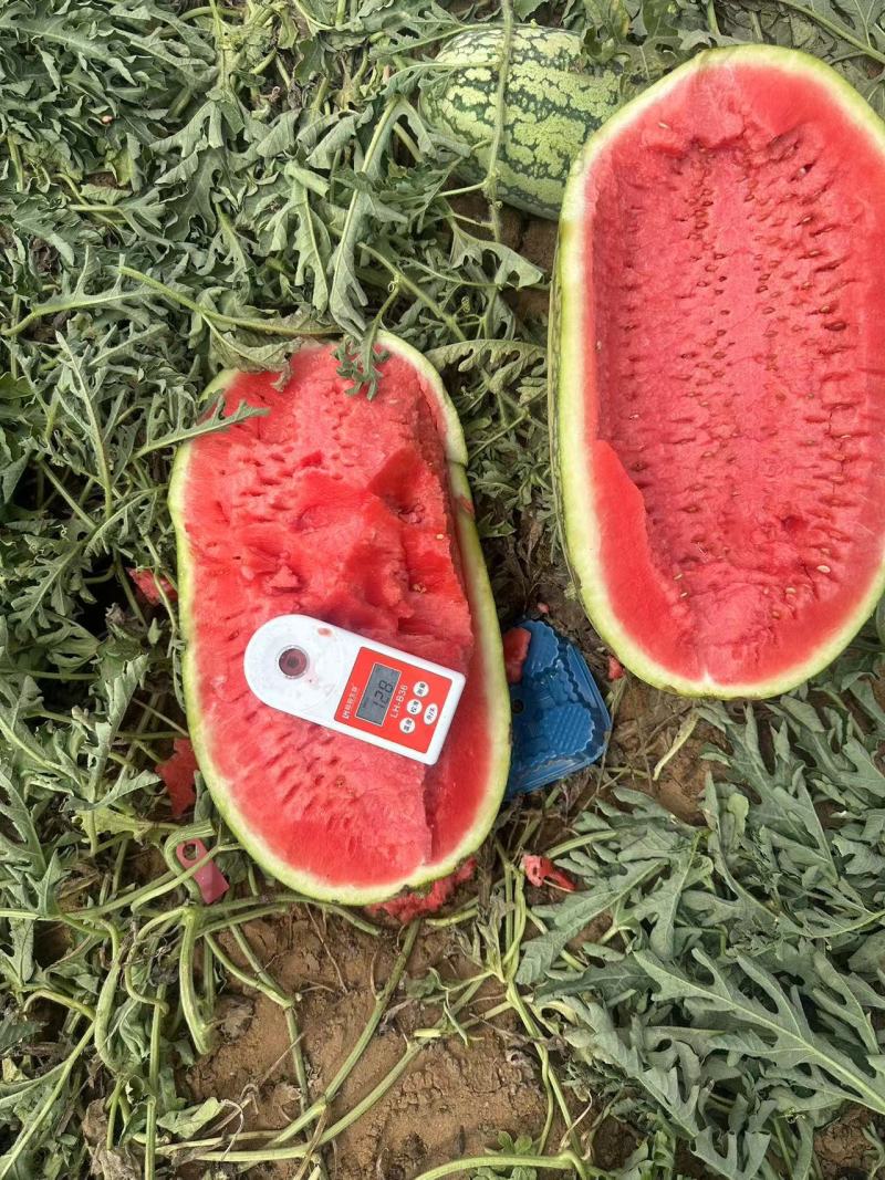 宁夏精品硒砂瓜，货源充足，产地直发，价格便宜。