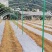 玻璃纤维杆玻纤杆无支柱大棚骨架安装便捷多年使用