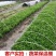 玻璃纤维杆玻纤杆无支柱大棚骨架安装便捷多年使用