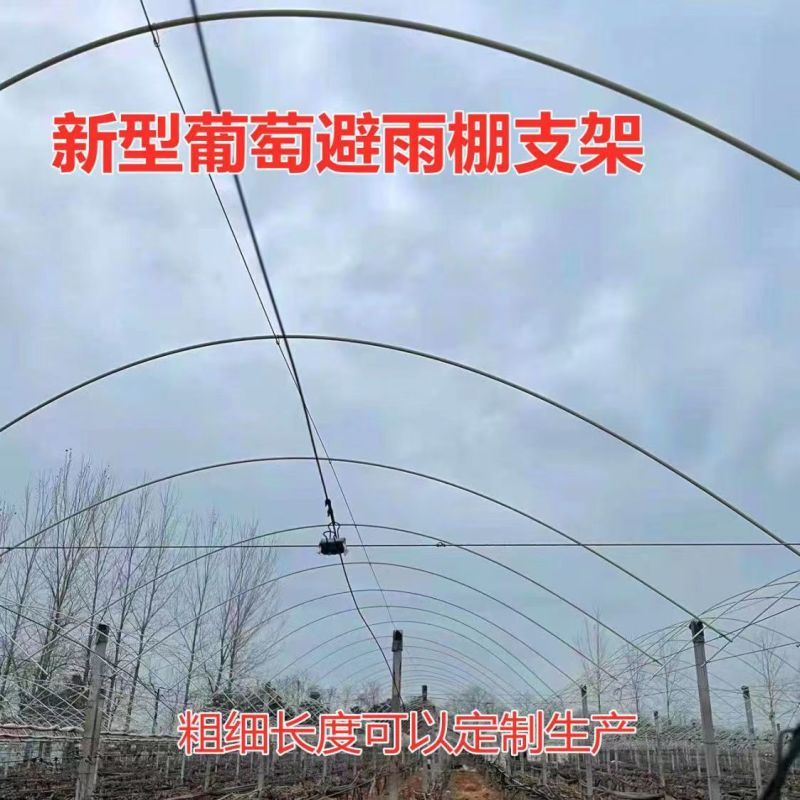 爬藤架豆角架蕃茄架葡萄架安装便捷循环使用