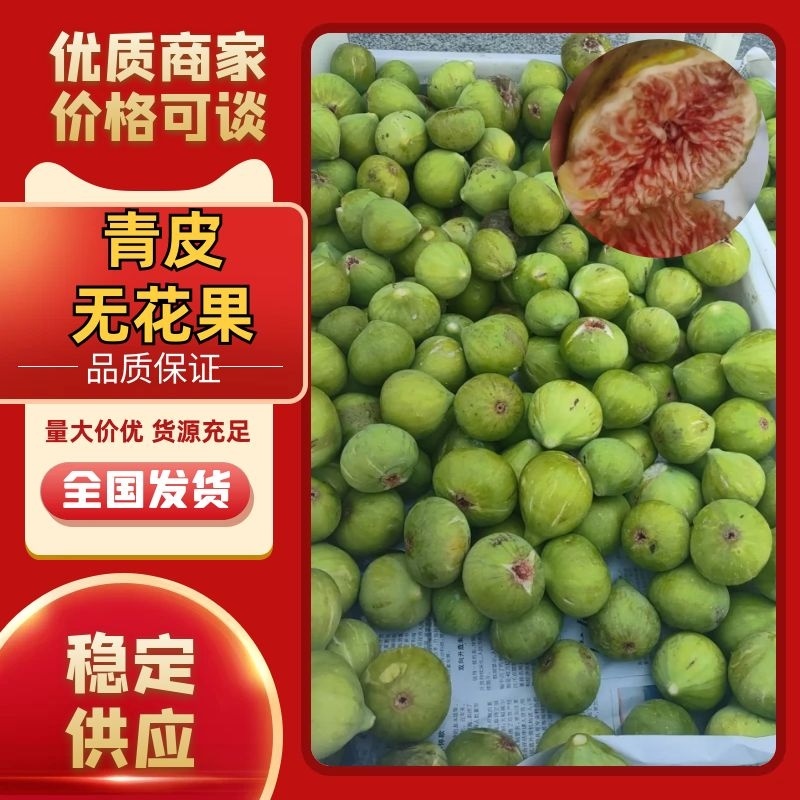 威海荣成青皮无花果，鲜无花果产地直发品质保证