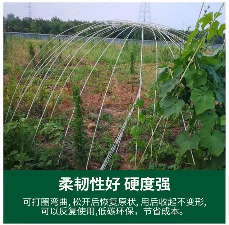 爬藤架豆角架蕃茄架葡萄架安装便捷循环使用