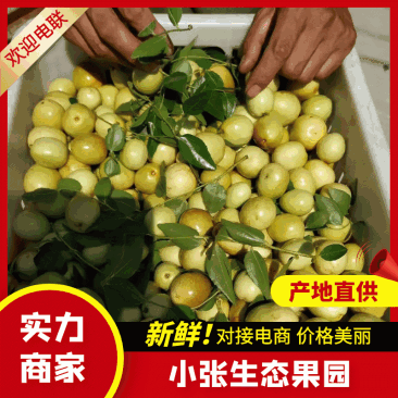 枣脆王（山东脆枣）对接各大电商社区团购平台一件代发