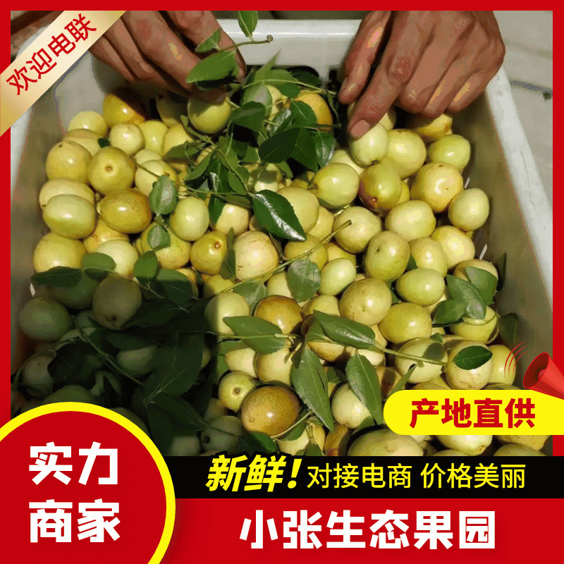 枣脆王（山东脆枣）对接各大电商社区团购平台一件代发