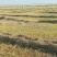 内蒙万赤峰两万亩土地流转产权明确种植养殖都行林地种植地
