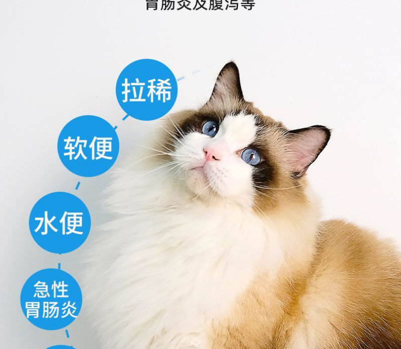 畅立安预防猫狗肠胃炎腹泻水便血便猫狗专用