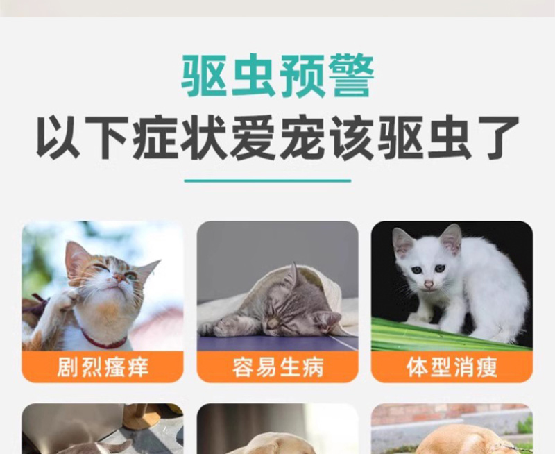 蟲易清宠物猫狗驱虫内外同驱草本植物提取驱虫不伤宠