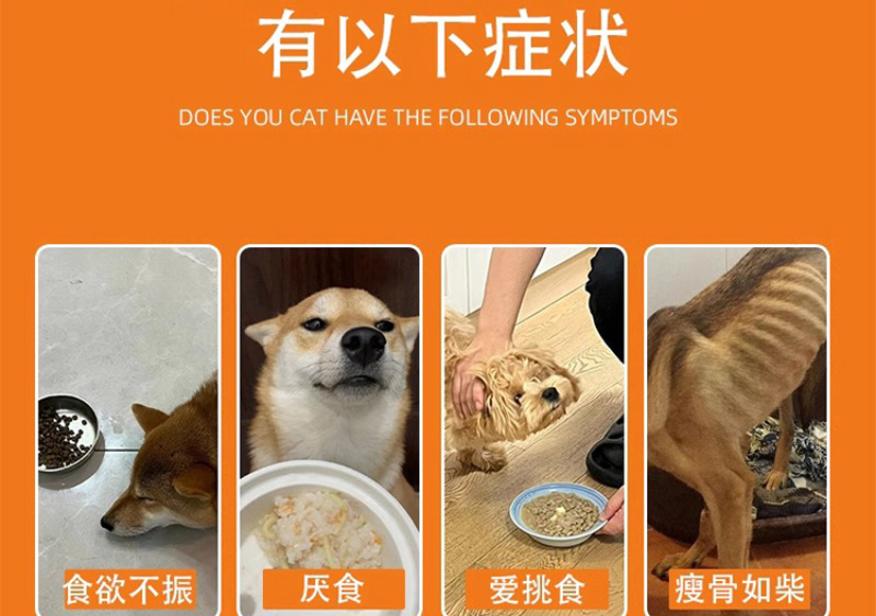 肥狗宝狗狗挑食饮食不振开胃营养增肥增重拉骨架