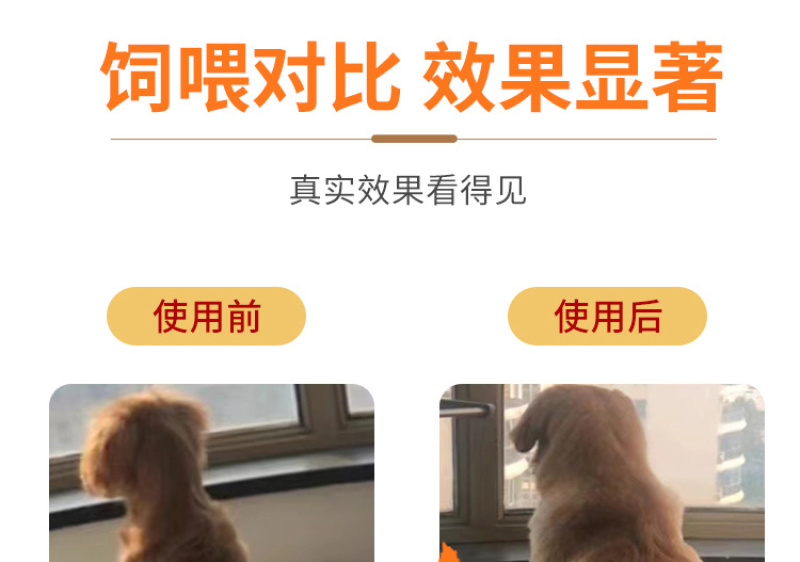 肥狗宝狗狗挑食饮食不振开胃营养增肥增重拉骨架