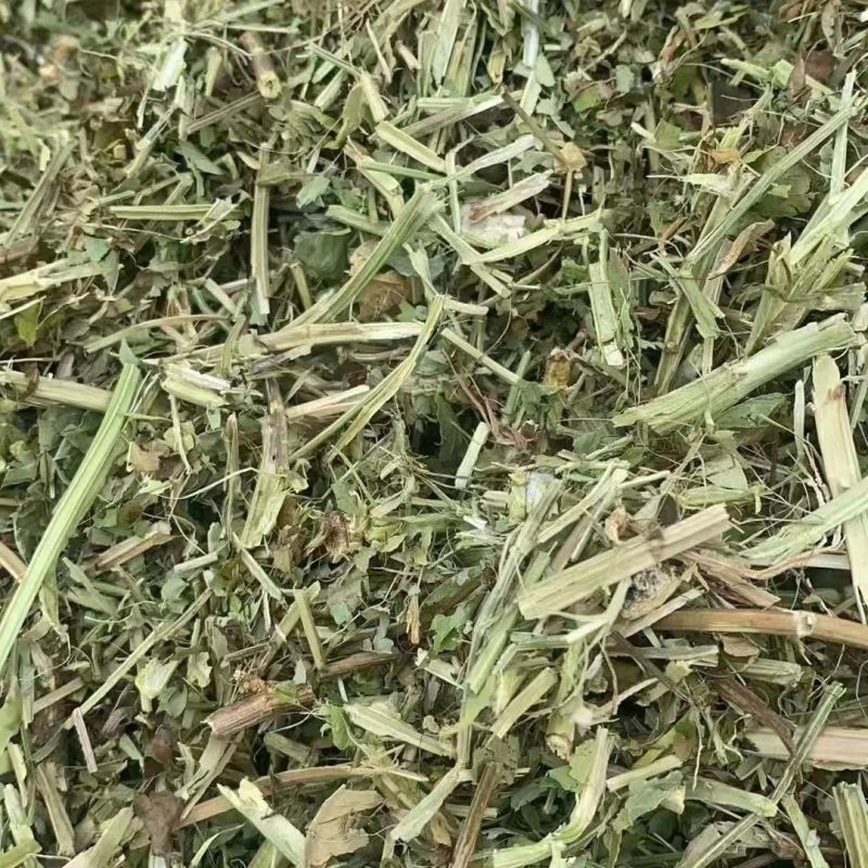 花生秧大量上市，常年供应，营养丰富，欢迎采购