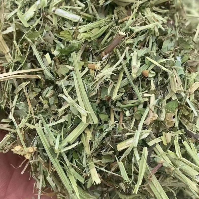 花生秧大量上市，常年供应，营养丰富，欢迎采购