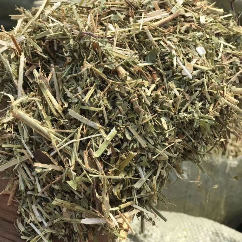 花生秧大量上市，常年供应，营养丰富，欢迎采购