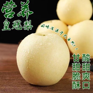 万亩砀山皇冠梨大量上市对接全国市场商超产地发货价格优势