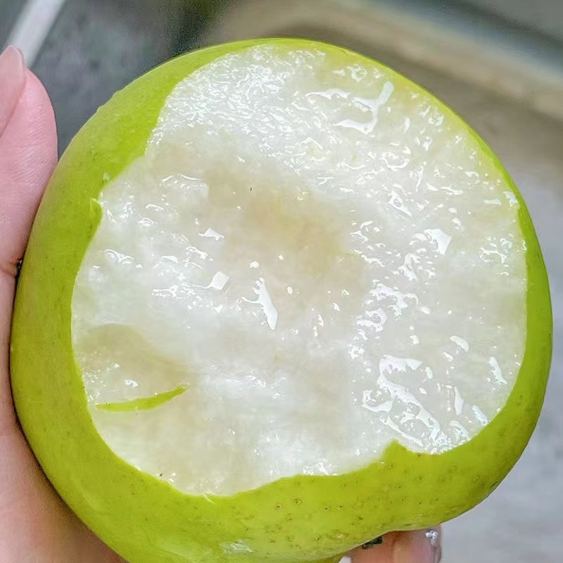 皇冠梨350~400g光果青皮皇冠梨白皮皇冠梨量大从优