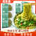 香菜面非油炸泡面免煮早餐面饼拌面整箱批发代发