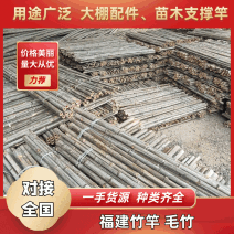 福建竹竿、毛竹尾巴、一手货源、种类齐全、做工好、三年以上