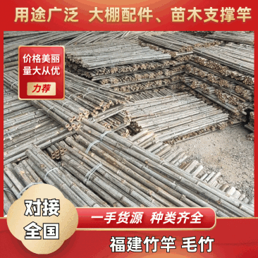 福建竹竿、毛竹尾巴、一手货源、种类齐全、做工好、三年以上