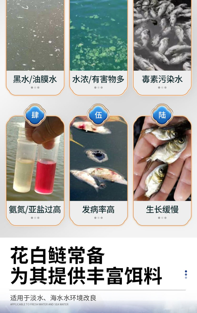 肥乐丁花白鲢速长肥肥水培藻培虫补充水体碳源肥水调水