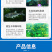 肥乐丁花白鲢速长肥肥水培藻培虫补充水体碳源肥水调水