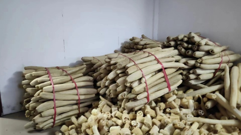 湖北硬丝瓜络品质好，个头较大能做鞋垫能做洗碗布欢迎联系