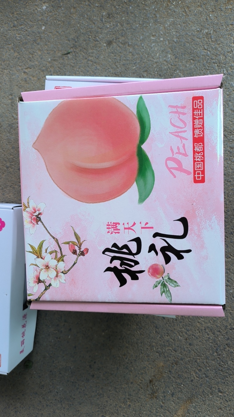 桃肥城桃黄桃蜜桃油桃蟠桃大量供应品种齐全