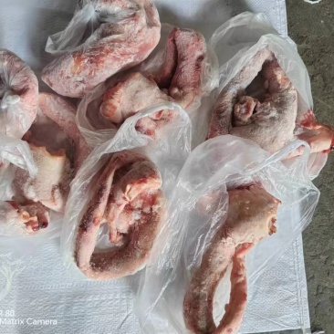 河北精品牛心管全国发货，基地直供，诚信经营