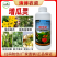 增瓜灵苦瓜黄瓜丝瓜西瓜甜瓜增产剂雄花变雌花座果灵提高座果