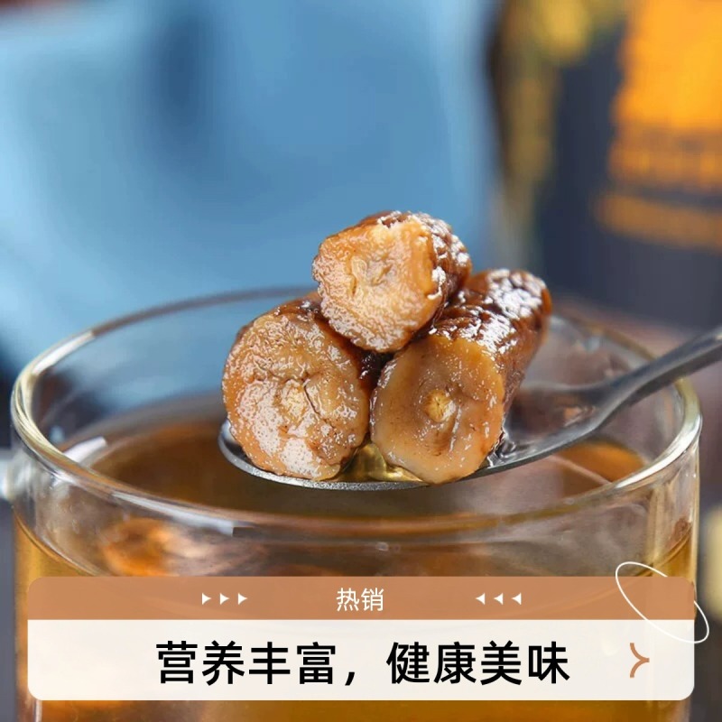 新货蒲公英根散装长白山蒲公英根茶500克炒制婆婆丁根茶厂