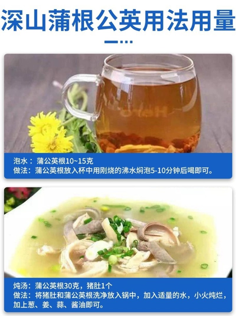 新货蒲公英根散装长白山蒲公英根茶500克炒制婆婆丁根茶厂