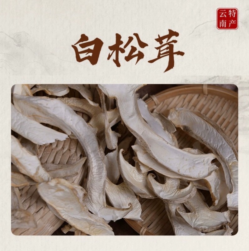白松茸干货云南雪山松茸菌批发菌类菌菇包菌汤包煲汤料松茸干