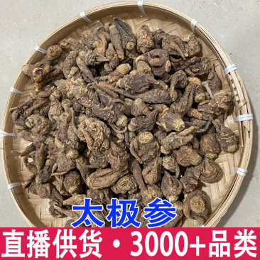 太极参批发批发量大从优