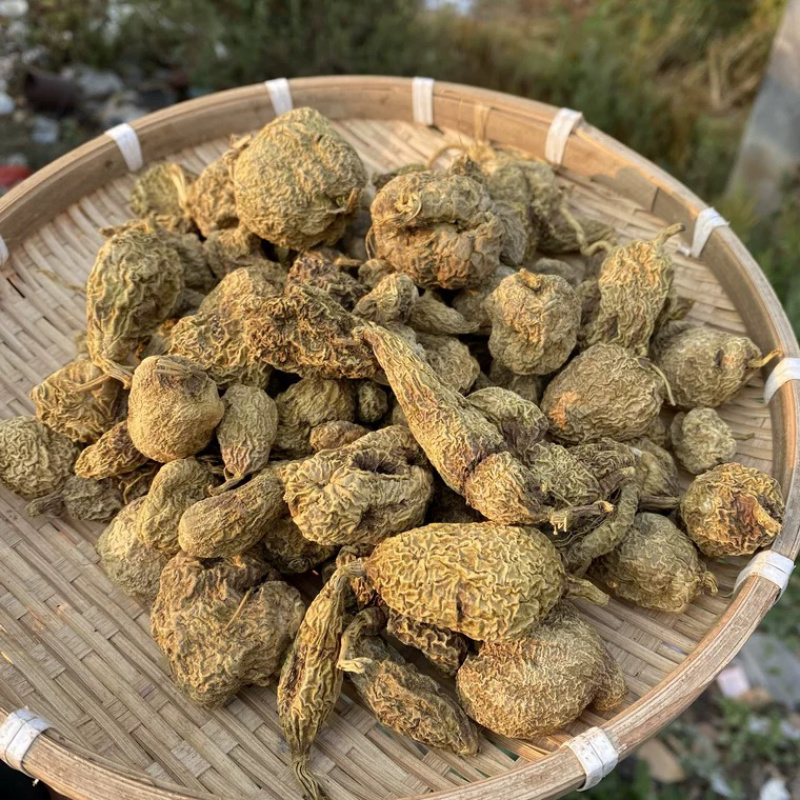 黄灵参散结结云南边境批发量大从优